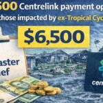 $6,500 Centrelink payment opens today for those impacted by ex-Tropical Cyclone Alfred